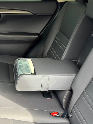 Lexus NX Progressive, 2019 года, пробег 47953 км