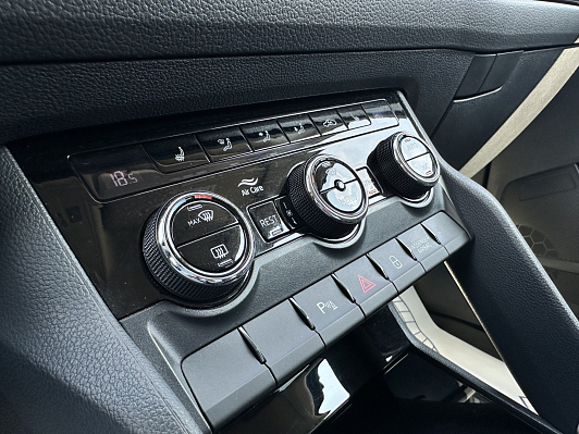 Skoda Kodiaq Hockey Edition, 2019 года, пробег 114093 км