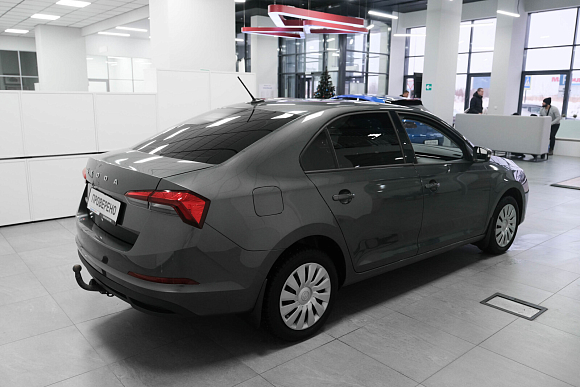 Skoda Rapid Active, 2020 года, пробег 102000 км