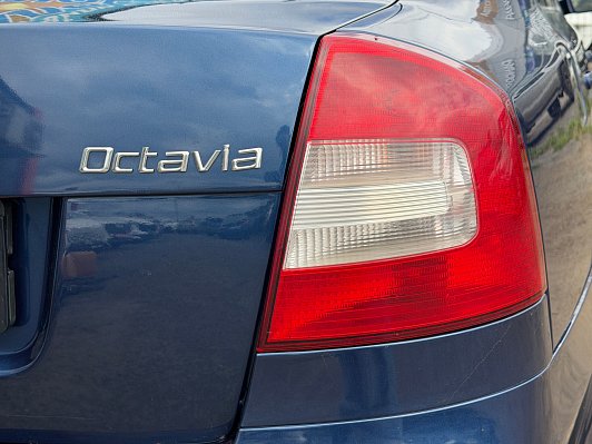 Skoda Octavia Ambition, 2010 года, пробег 237217 км
