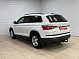 Skoda Kodiaq Hockey Edition, 2019 года, пробег 163107 км