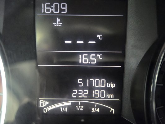 Skoda Rapid Active, 2019 года, пробег 232134 км