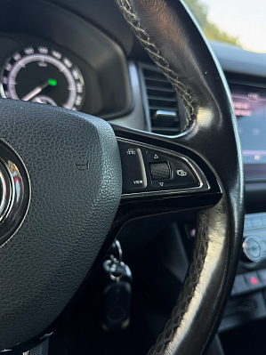 Skoda Kodiaq Active, 2018 года, пробег 174848 км